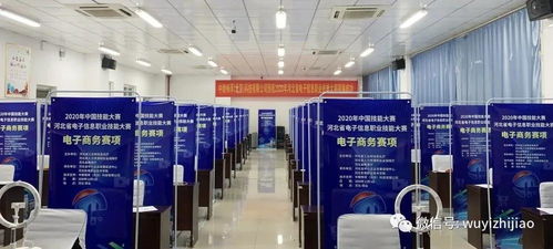 衡水市武邑職教中心教師在河北省電子信息服務業(yè)職業(yè)技能大賽中榮獲佳績，彰顯信息電子技術服務專業(yè)實力